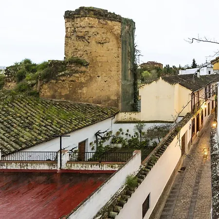 Casa 3 Plantas Con Patio Y Solárium Privados