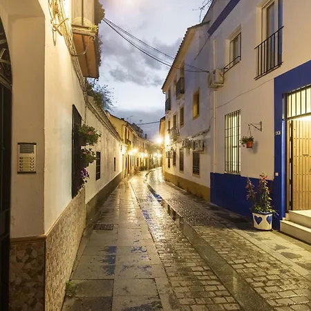 Casa Centrica Luminosa Con Solarium Y Barbacoa Cordoba