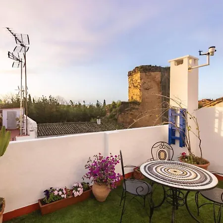 Casa 3 Plantas Con Patio Y Solarium Privados 아파트