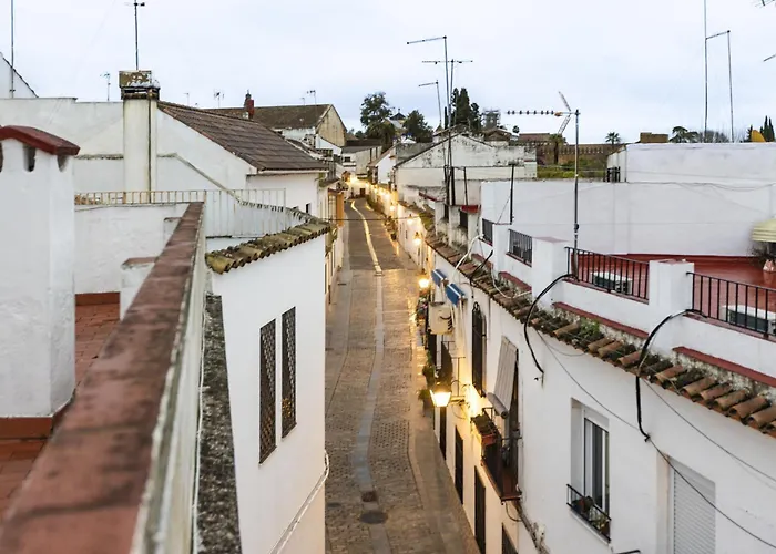 Casa 3 Plantas Con Patio Y Solárium Privados
