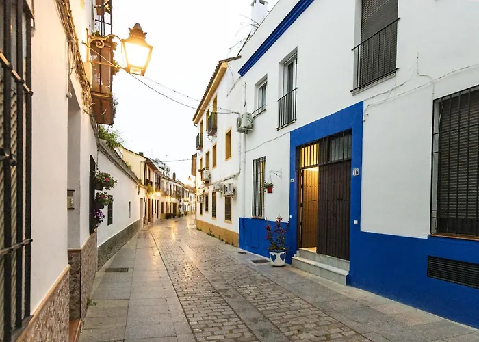 Casa 3 Plantas Con Patio Y Solárium Privados *