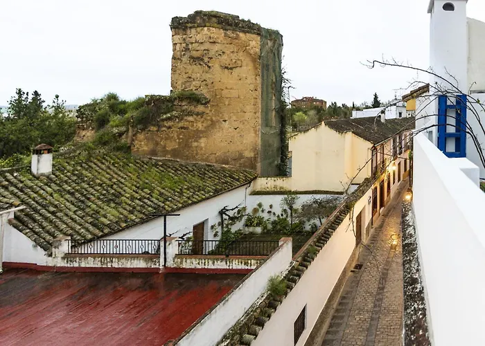 Casa 3 Plantas Con Patio Y Solárium Privados